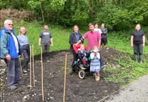 St David's hosts Great Big Green Week with free events