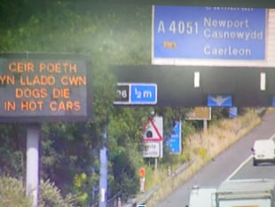 ‘Dogs die in hot cars’ warning to feature on Wales’ road signs