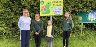 Road safety highlighted at St Oswald's School