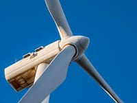Wind turbine scheme delayed over bats