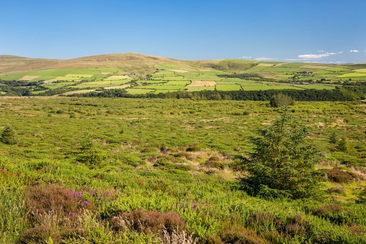 Applications are invited for the latest round of Ffermio Bro landscape and conservation funding.