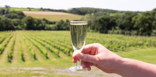 Pembrokeshire Vineyard named in Tripadvisor Travellers' Choice 2026