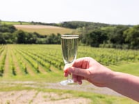 Pembrokeshire Vineyard named in Tripadvisor Travellers' Choice 2026