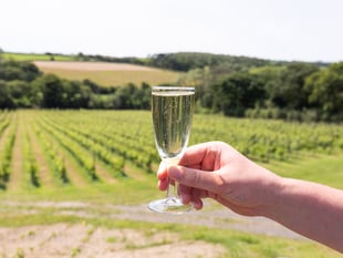 Pembrokeshire Vineyard named in Tripadvisor Travellers' Choice 2026