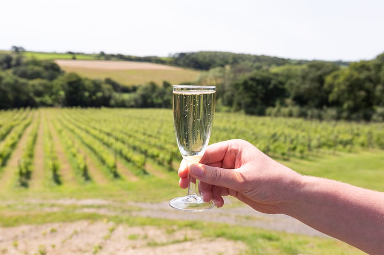 Velfrey Vineyard, the award-winning family-run vineyard in South Pembrokeshire, is delighted to announce that it has been recognised in the Tripadvisor Travellers’ Choice Awards 2026, placing it among the top 10% of attractions worldwide. 