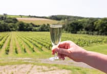 Pembrokeshire Vineyard named in Tripadvisor Travellers' Choice 2026