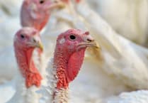 Controversy as Little Haven housing plan on former turkey farm gets extension