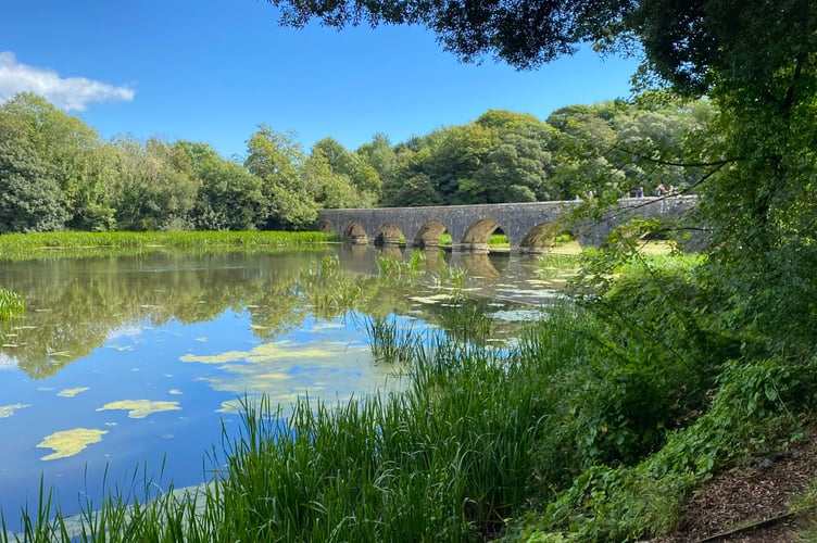 Photograph of Stackpole Lakes courtesy of Andrew Weaver