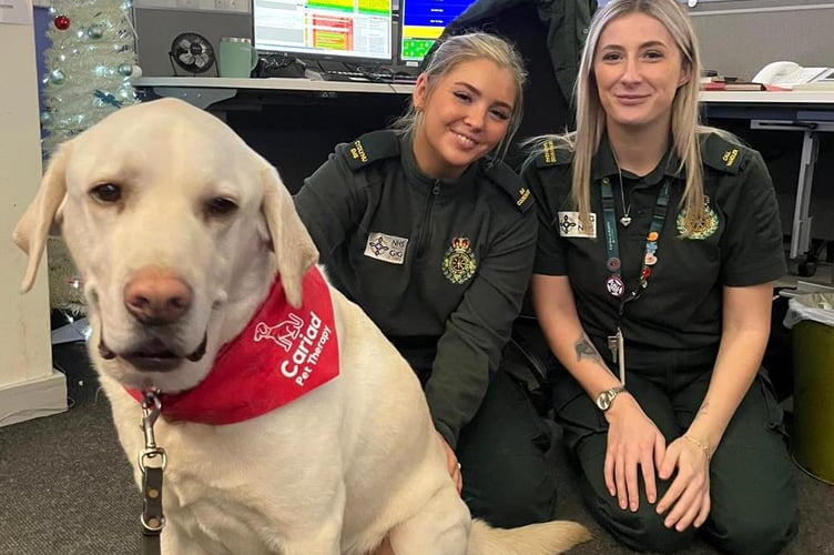 Pembrokeshire-based Cariad Pet Therapy is proud to promote their Crisis Response Dogs project