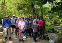 Join Steps2Health for scenic walks in Pembrokeshire!
