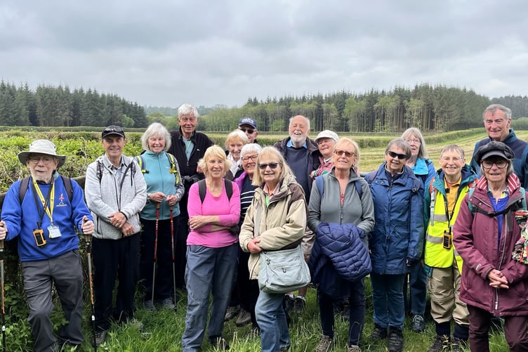 Steadies on the Miners’ Walk, May 2.