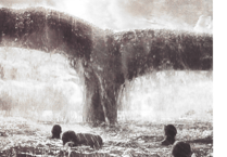 Fishguard Festival invites writers to celebrate Moby Dick's 70th Anniversary