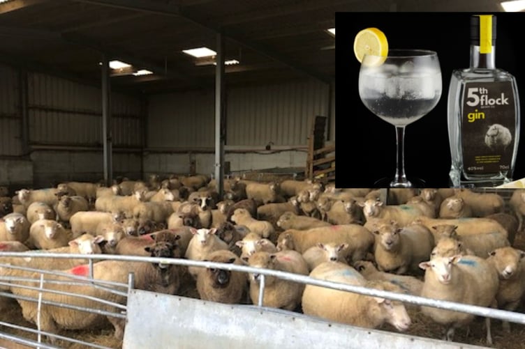Fifth Flock Spirits Ltd sought permission for the retention of a replacement building at Nash Mountain Farm, Sardis which included a gin distillery for its sheep milk-infused gin. Picture: Johnston Planning Ltd application to Pembrokeshire County Council.