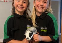 St John Ambulance Badgers save the day!