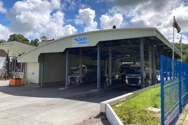 Tankers unloading milk at the Dairy Partners Ltd creamery, Aberarad (pic Richard Youle and free for use for wire partners)