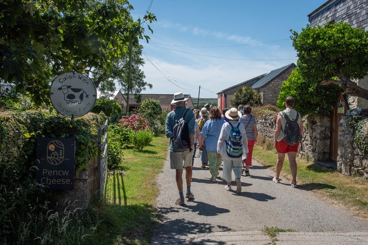 Pencw Cheese Long Lunch tour and walk - Penrhiw Farm