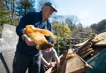 Fundraising appeal to restore Colby Gazebo now honeybees have moved out