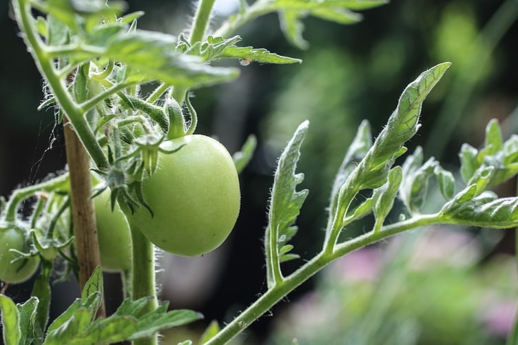 The One Planet Development policy enables development in the open countryside