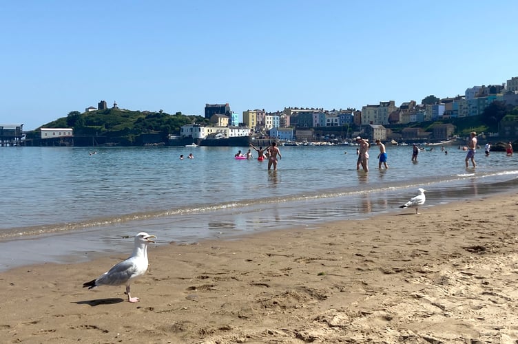 Tenby's North Baech during the heatwave on June 24