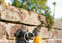 Wales heatwave: the hidden danger in your garden