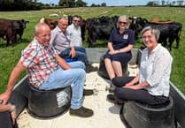 Anna Nicholl: Welsh Government must work with, not against, rural communities