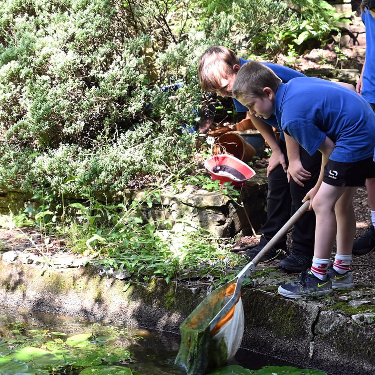Sageston pupils pond dipping Welston Challenge