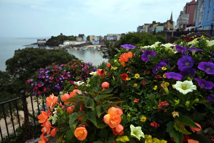 Tenby flowers