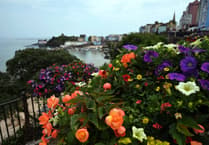 Tenby in Bloom 2026: Seaside town prepares for floral judging