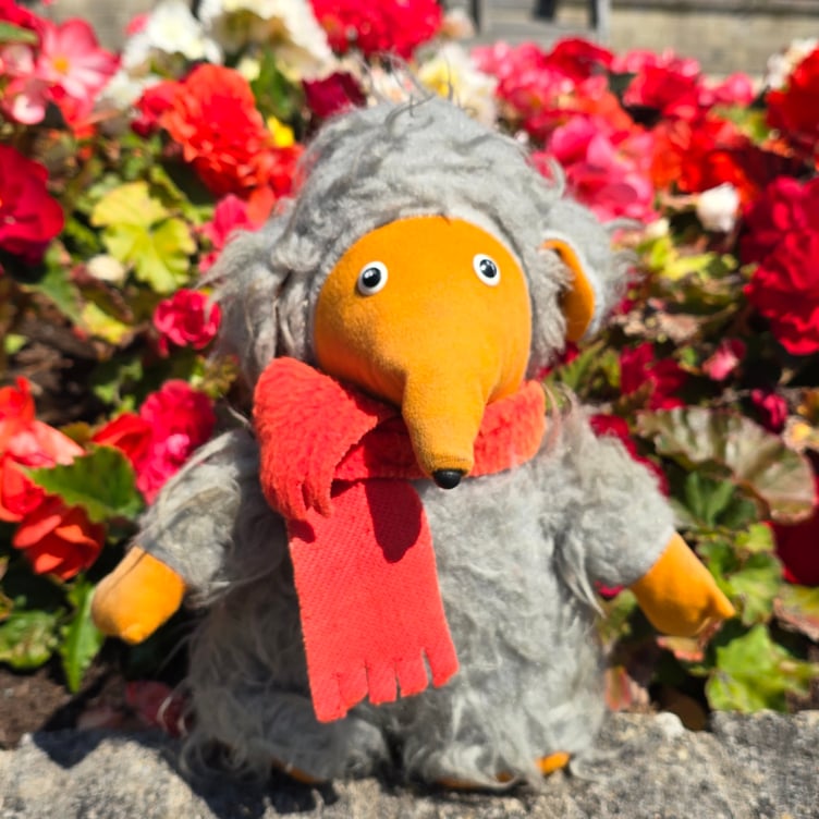 A womble in Saundersfoot