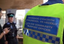 'Operation Lion' continues this summer in Tenby