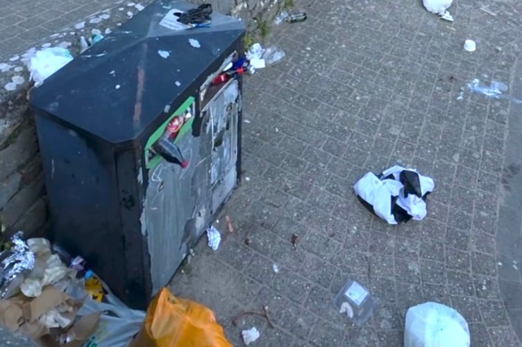 Tenby litter