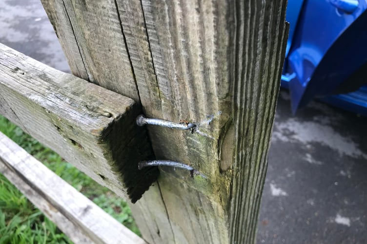 Two of the nails flattened at Johnstown Park, Carmarthen, by Nigel Drean (pic by Nigel Drean and free for use for wire partners)