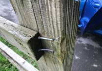 Granddad acts to flatten dangerous nails in park