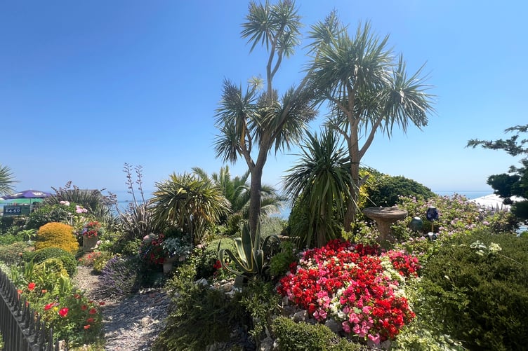 Tenby in Bloom