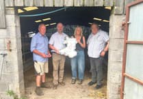 Carmarthenshire Plaid Cymru MSs join FUW on farm visit