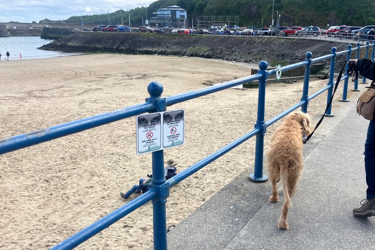 Dog beach ban Saundersfoot