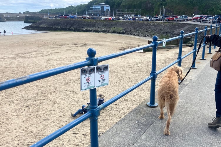 Dog beach ban Saundersfoot