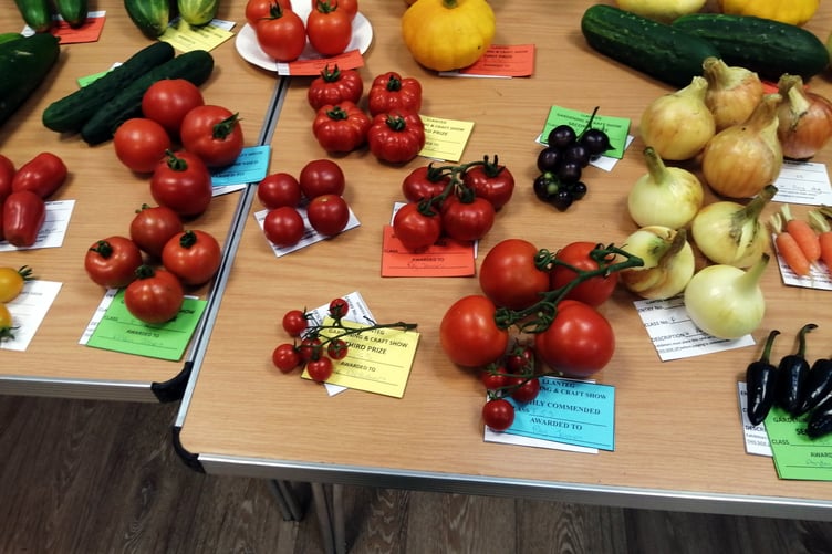 Exhibit at Llanteg Show