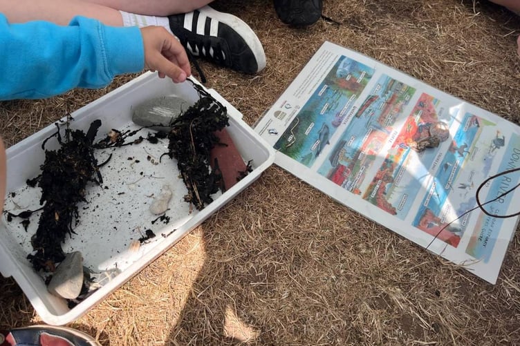 Pupils take a closer look at some of their shoreline finds during the Gwreiddiau / Roots Discovery Days at Dale.