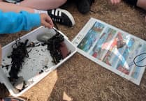 Discovery Days inspire Pembrokeshire youngsters