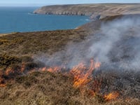 CLA Cymru calls for action as Welsh wildfires rage
