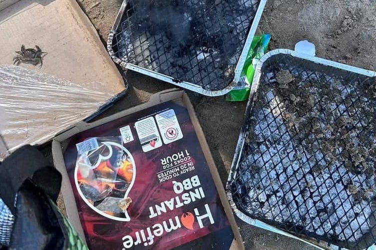 disposable BBQ