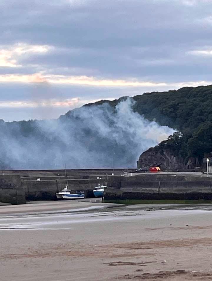 A major wildfire was narrowly avoided in Saundersfoot after a disposable BBQ sparked a blaze.