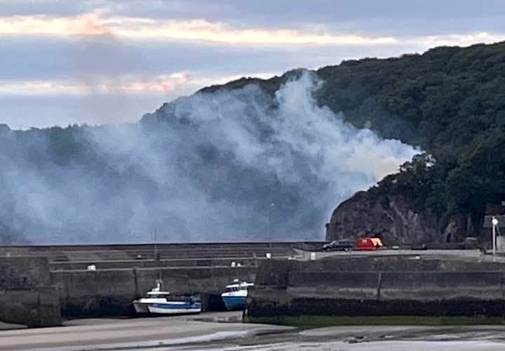 A major wildfire was narrowly avoided in Saundersfoot after a disposable BBQ sparked a blaze.