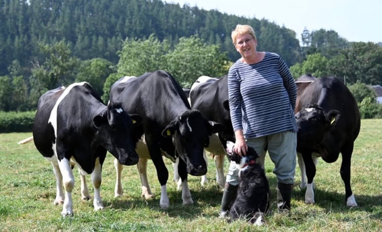 Ann Davies MP welcomes the Welsh Government's announcement of £1 billion funding for agriculture,