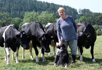 Caerfyrddin MP welcomes £1 billion commitment for Welsh farmers
