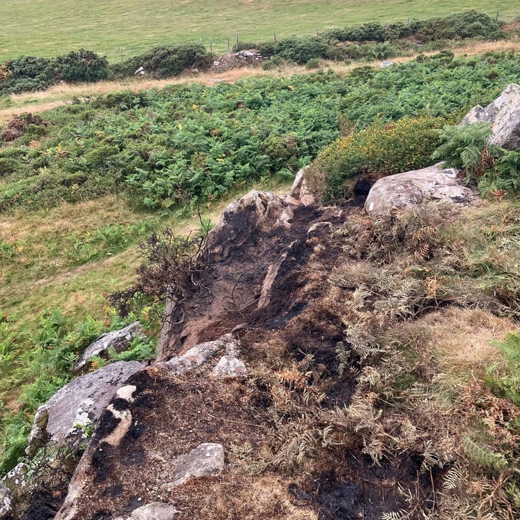 Wildfire narrowly averted near the Preseli Hills
