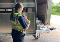 Survey reveals crime on Welsh farms