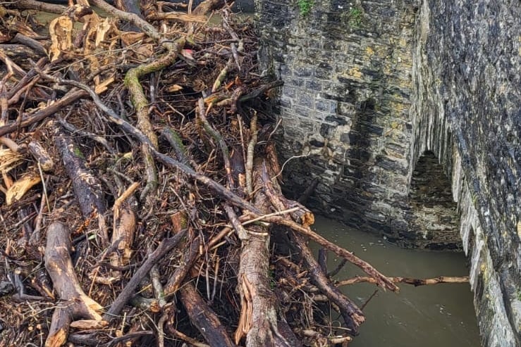 Logs and debris pile up at Pontargothi bridge (pic Claire Gooding and free for use for wire partners)