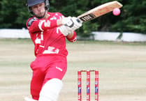Pembroke County Cricket League - results Week 14